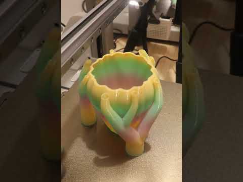 Bloom Vase
